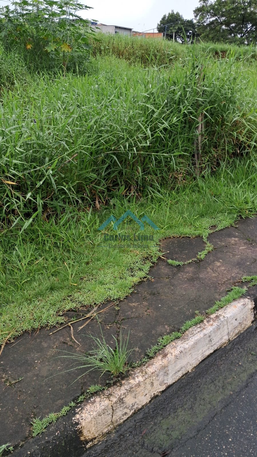 Terreno á Venda - Foto 3