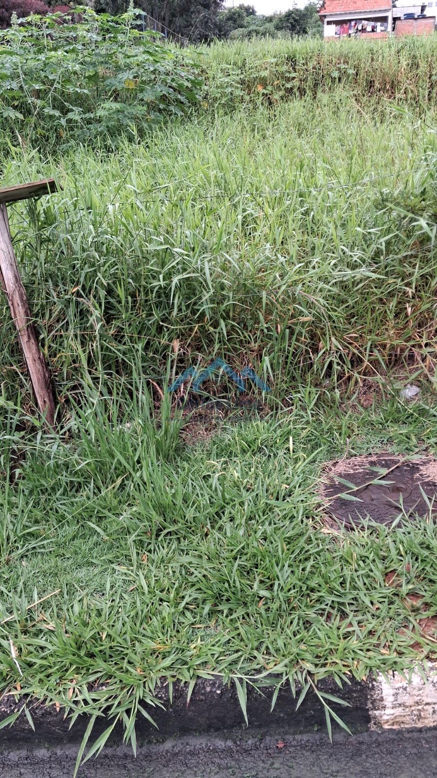 Terreno á Venda - Foto 4
