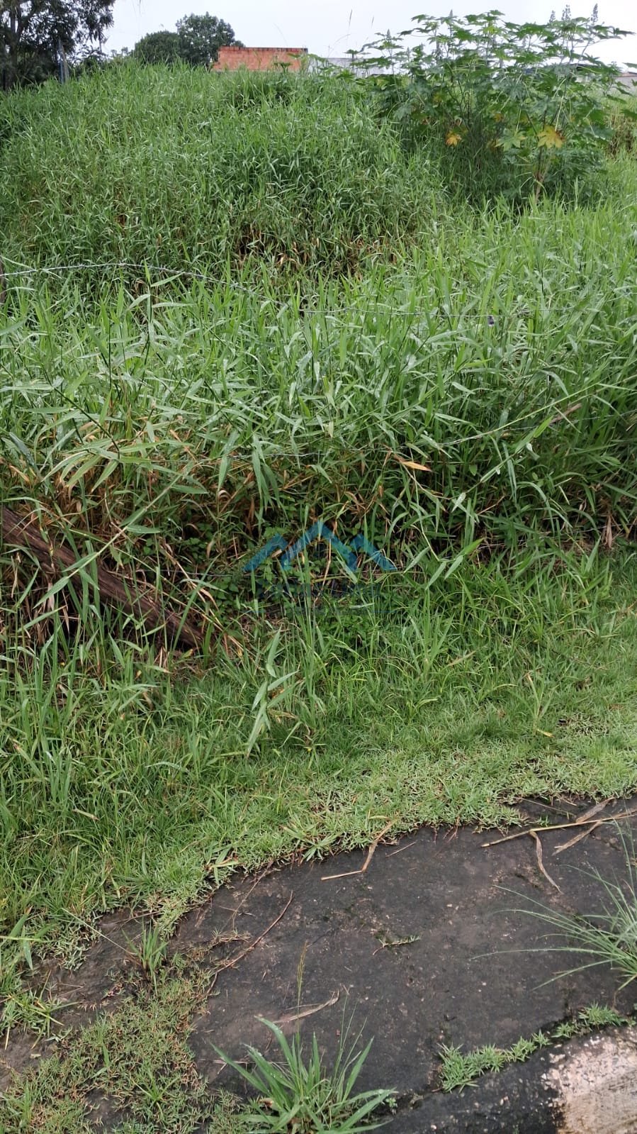 Terreno á Venda - Foto 5