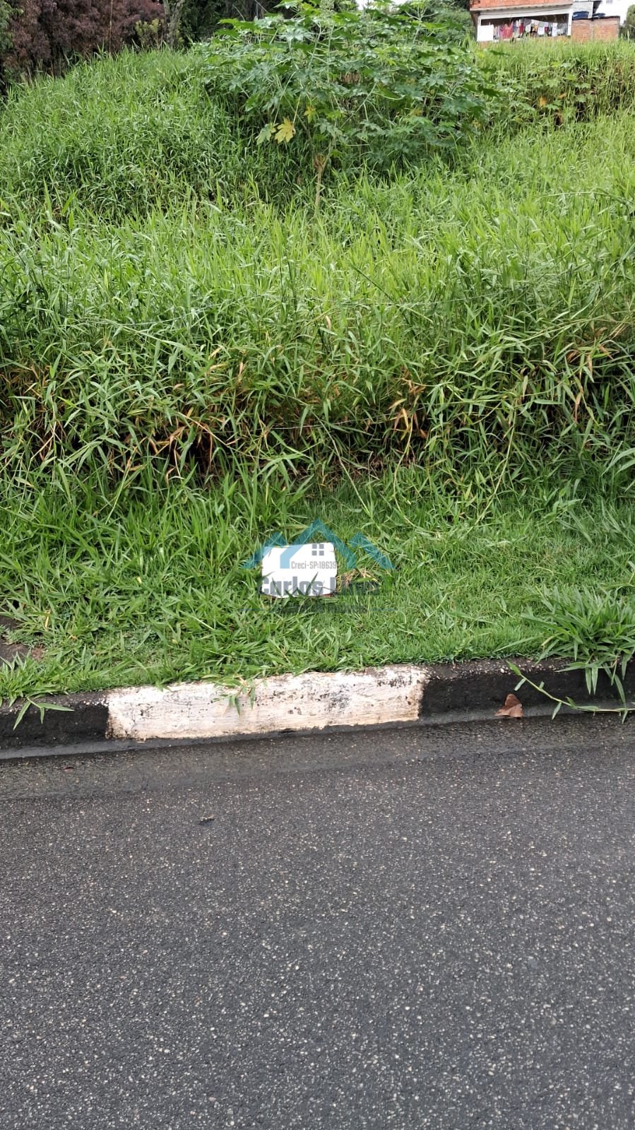 Terreno á Venda - Foto 6