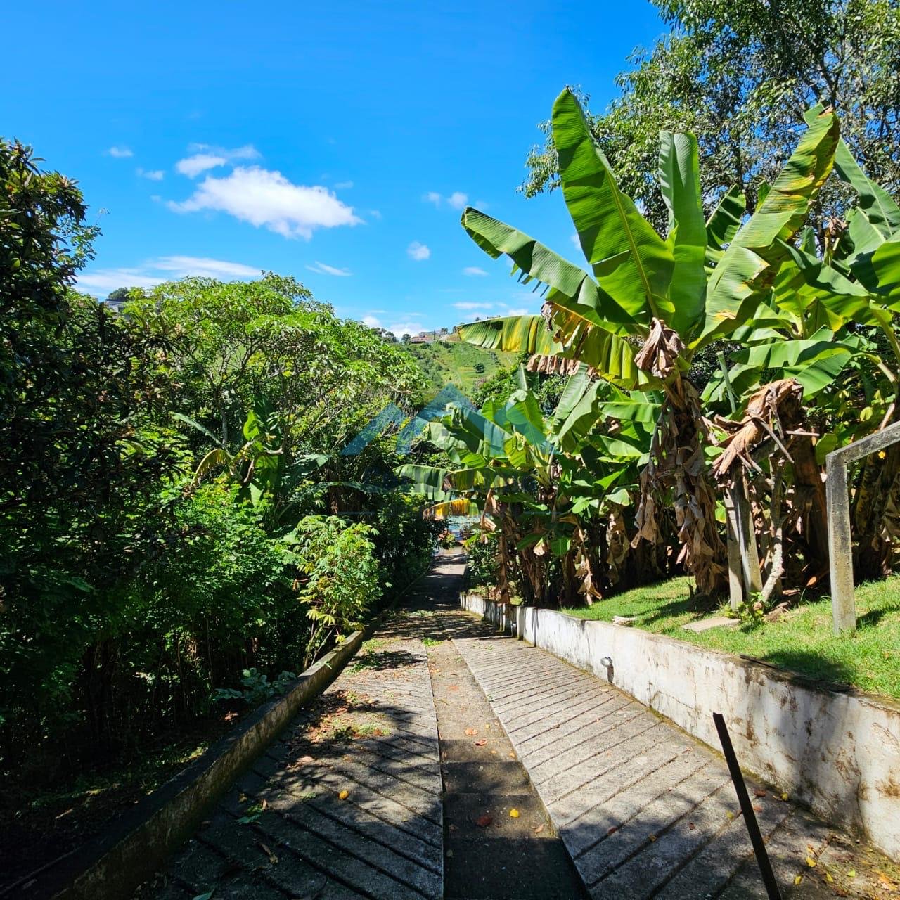 Chácara á venda em Igaratá - Foto 9