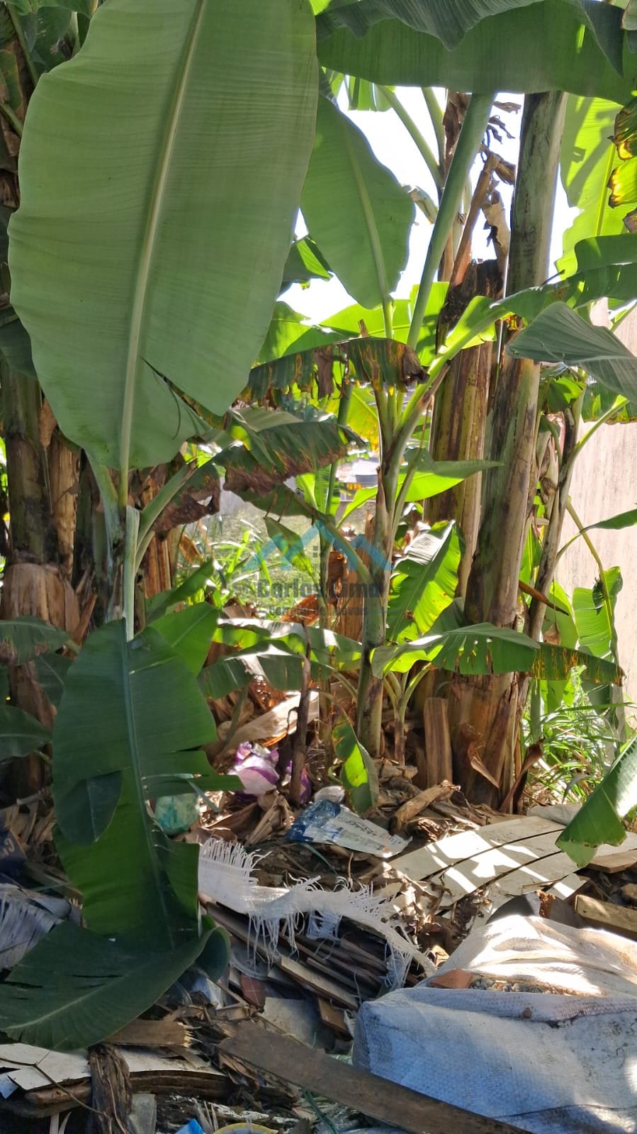 Vende-se Terreno em Itaquá