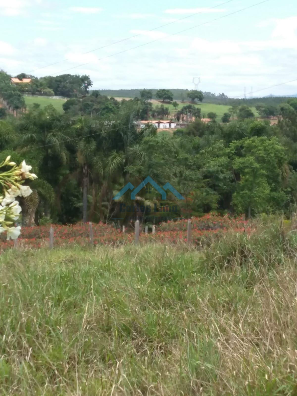 Foto 3 - Chácara à venda no Centro, Taubaté